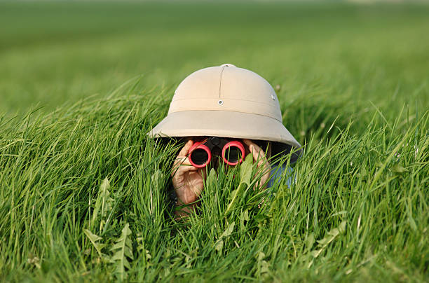 image d'un enfant caché dans l'herbe qui regarde au loin avec des jumelles